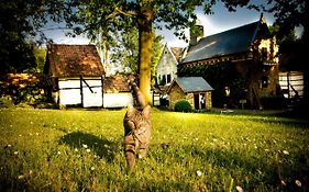 B&B De Bloesem
